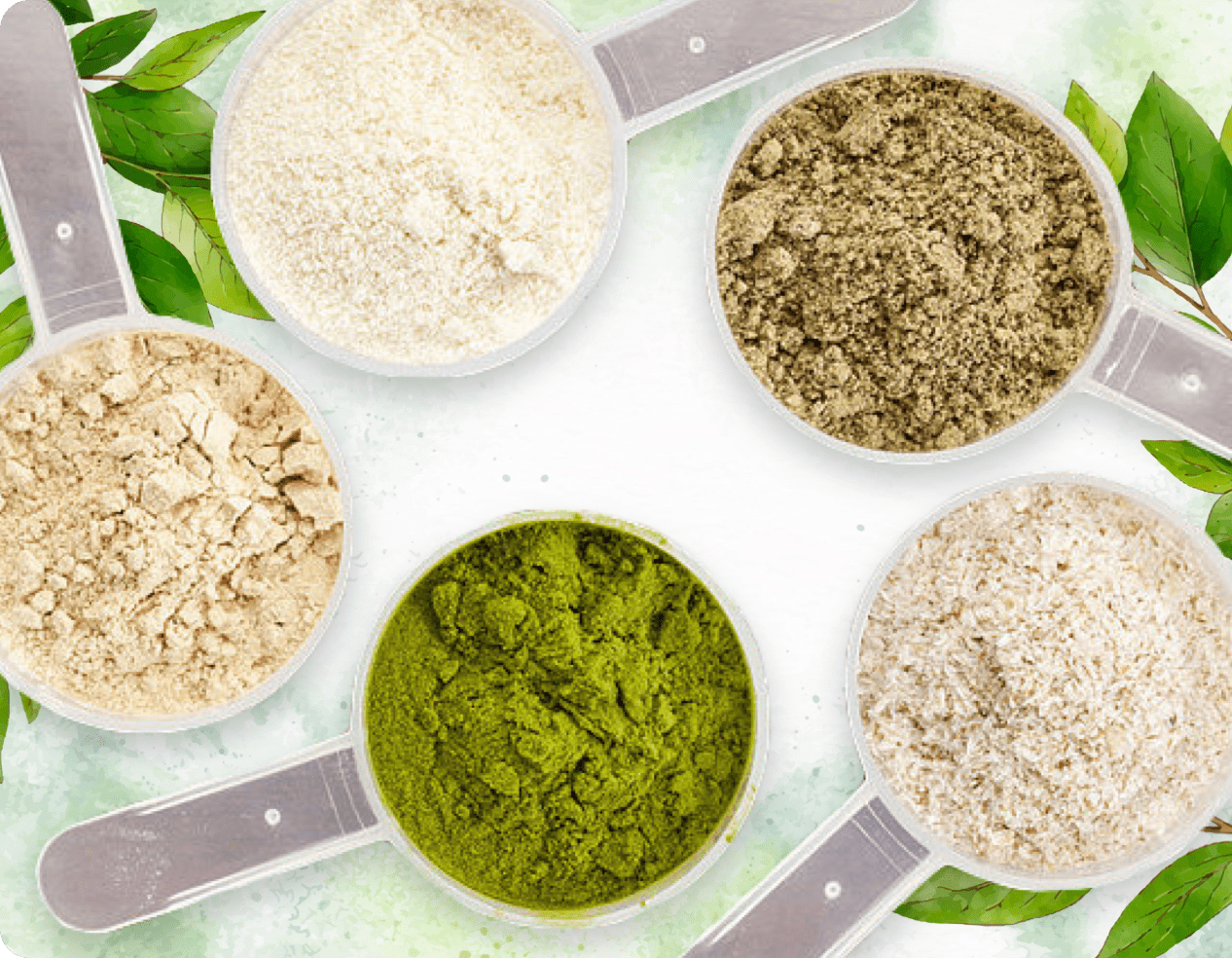 The four plant and mineral ingredients in the ProDentim blend